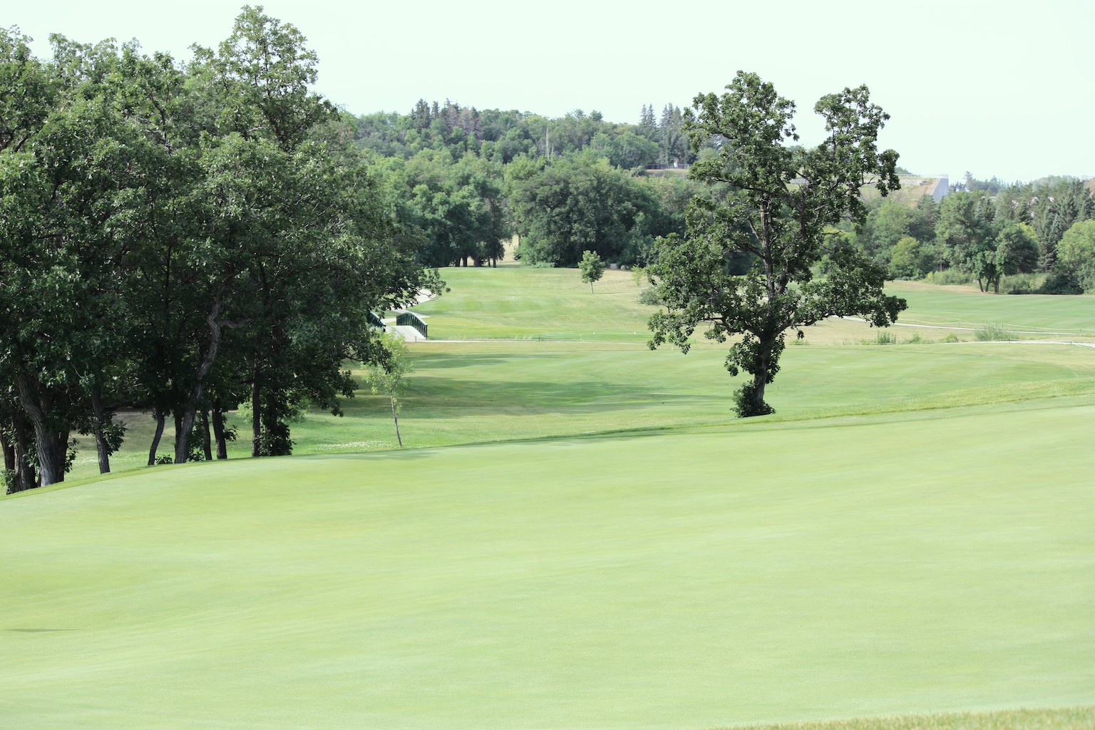 Minnewasta Golf & Country Club